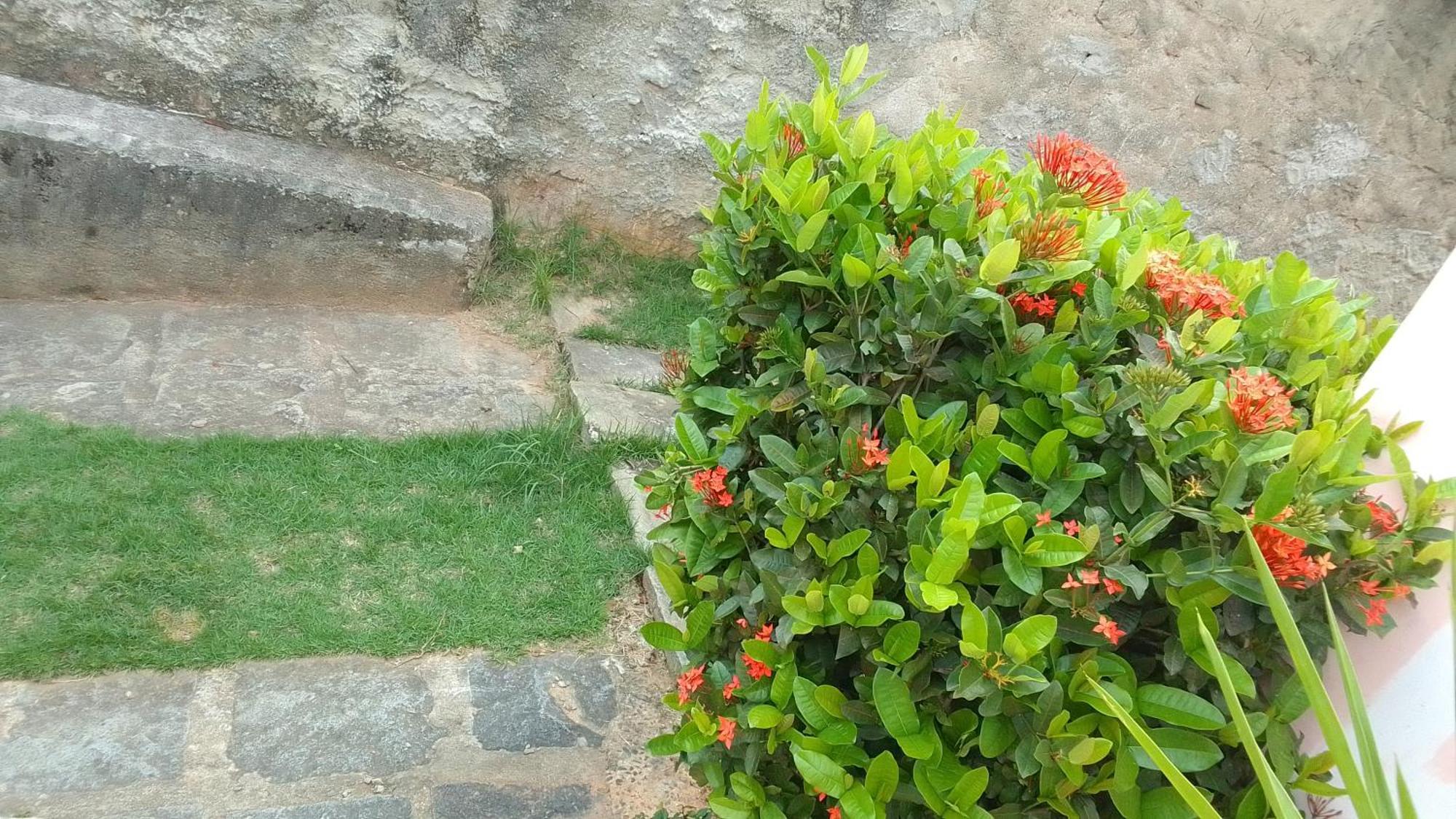 Acomodacao Da Barra